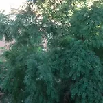 公寓 Casarcobaleno 的里雅斯特